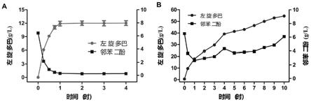 一种基于需钠弧菌生产左旋多巴的方法