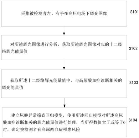 一种基于气体放电显像技术的尿酸异常筛查方法及系统与流程