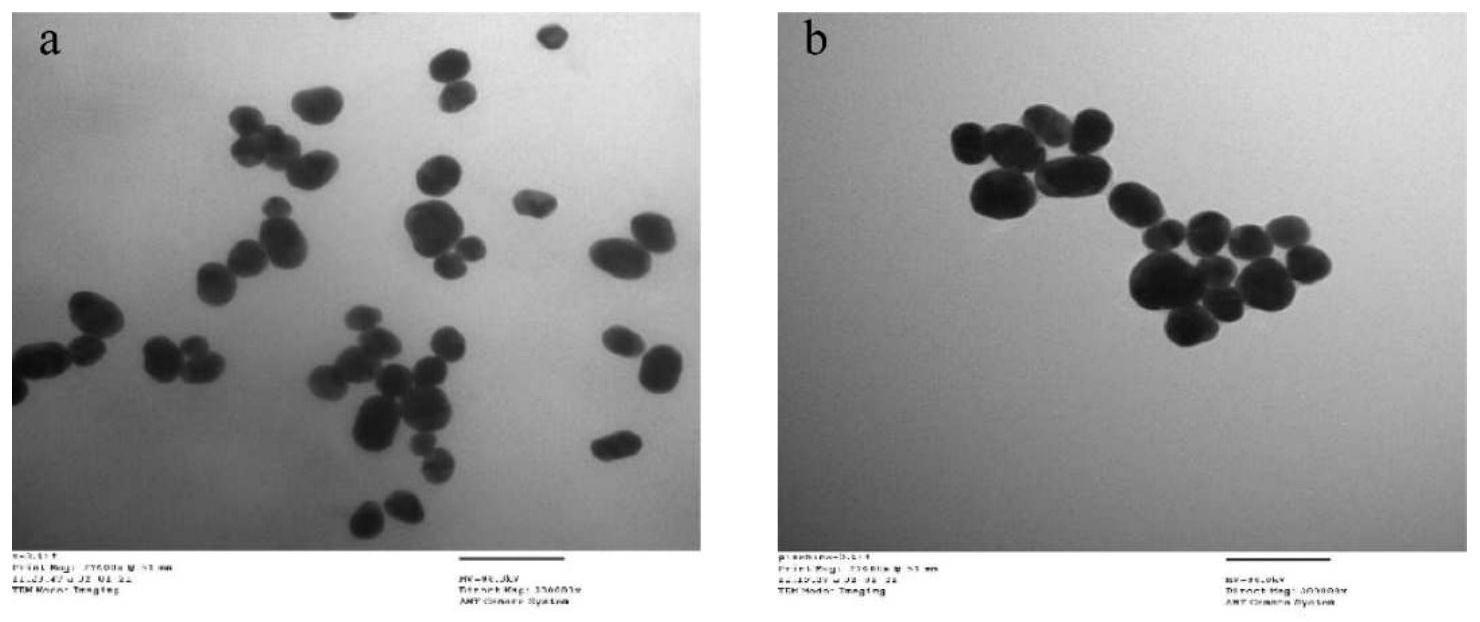 用于生物样本中季铵盐肟类重活化剂快速检测的检测方法和试剂盒