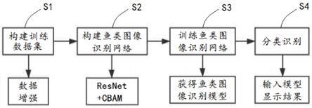 鱼类图像识别方法、系统及设备