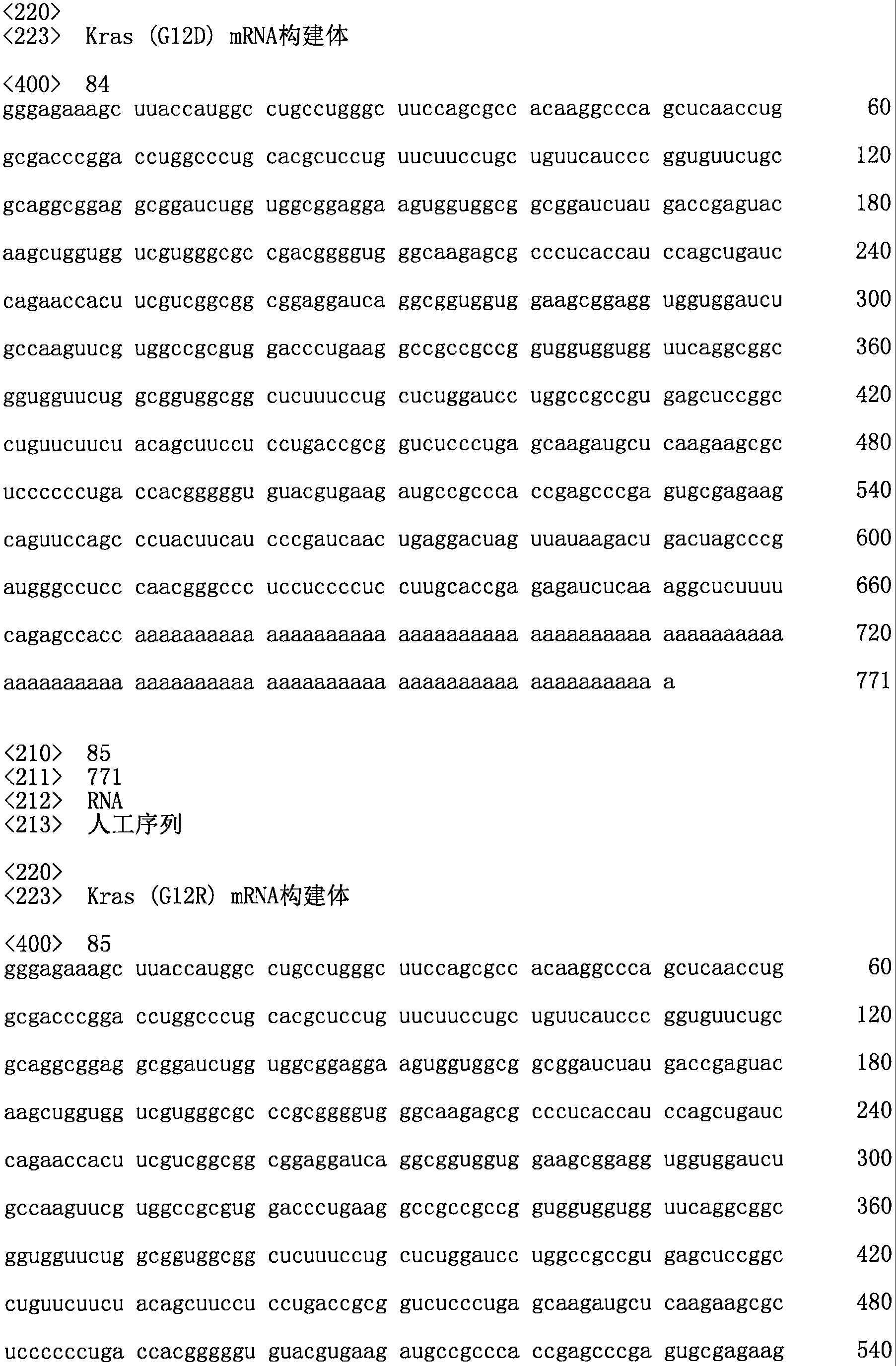 KRAS变体mRNA分子的制作方法