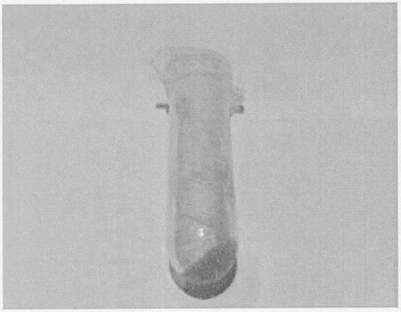 一种具有交替多嵌段结构的3,3-双叠氮甲基氧杂环丁烷-四氢呋喃含能共聚醚及其合成方法