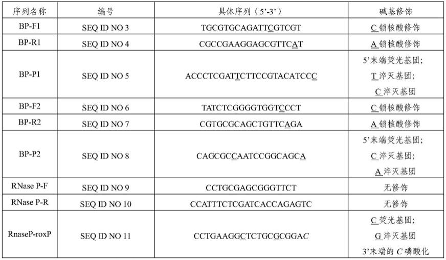 用于检测4种鲍特菌和特异性检测百日咳鲍特菌的DNA片段、引物、探针和试剂盒及应用的制作方法
