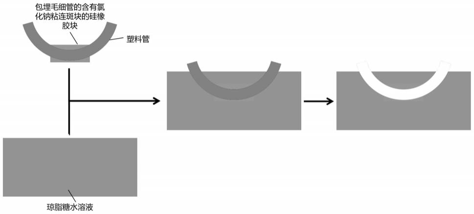 一种动脉粥样硬化斑块模型及其制备方法