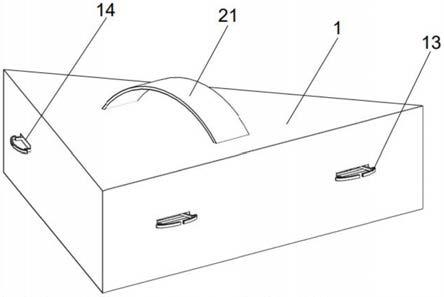 一种砭灸五用养生器