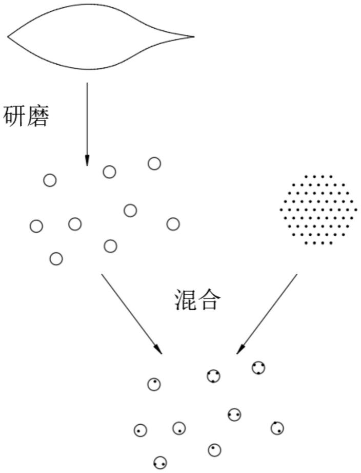 一种益生菌用植物纤维吸附干燥方法与流程