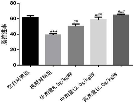 含有苦杏仁的组合物及其制备方法和用途