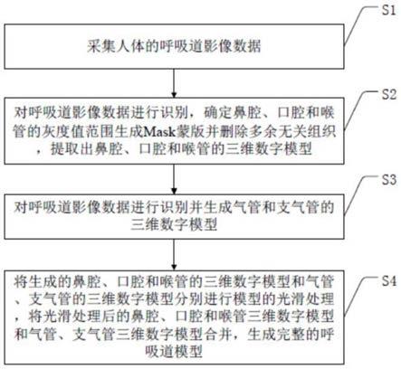 基于三维重建的上呼吸道-气管树组合模型的建立方法