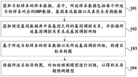 一种生存期预测模型的生成方法及装置、存储介质与流程