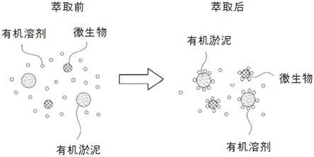 多段分离反应槽及利用其的利用烷烃系列溶剂的污水淤泥处理方法与流程