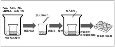 一种高力学强度聚乙烯醇-丙烯酰胺-琼脂糖水凝胶的制备方法与流程