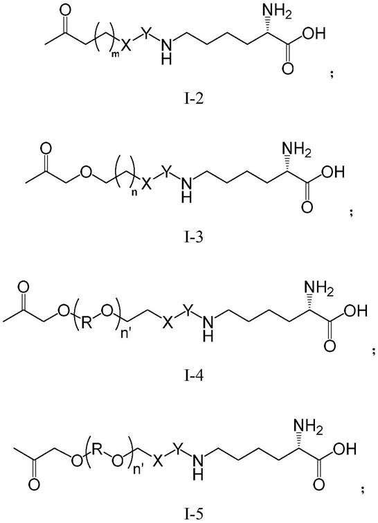 一种人白细胞介素2-聚乙二醇偶联物及其应用的制作方法