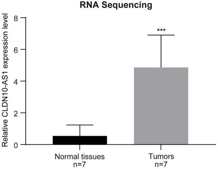 人CLDN10-AS1lncRNA在评估肺腺癌患者预后中的应用及检测试剂盒的制作方法