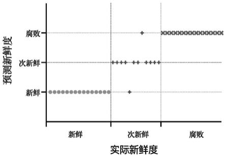 一种融合NIRS和CV对冷鲜鸭肉新鲜度进行快速检测的方法与流程