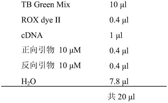 lncRNA及其在免疫调控及免疫相关疾病诊治中的应用的制作方法