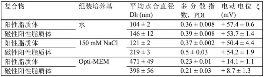 通过递送BMP编码RNA诱导骨生成的制作方法