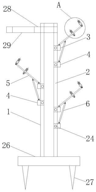 一种有效控制李子树树枝密度的结构的制作方法