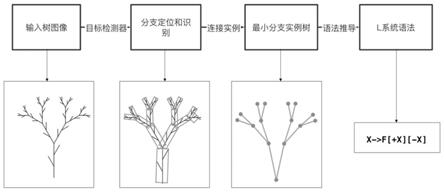 树木生长模型构建方法及计算机存储介质与流程
