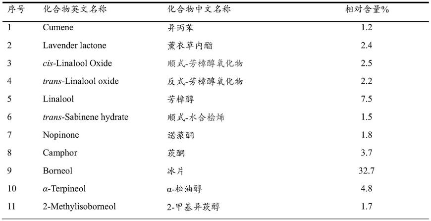 金毛耳草挥发油的制备及其应用的制作方法