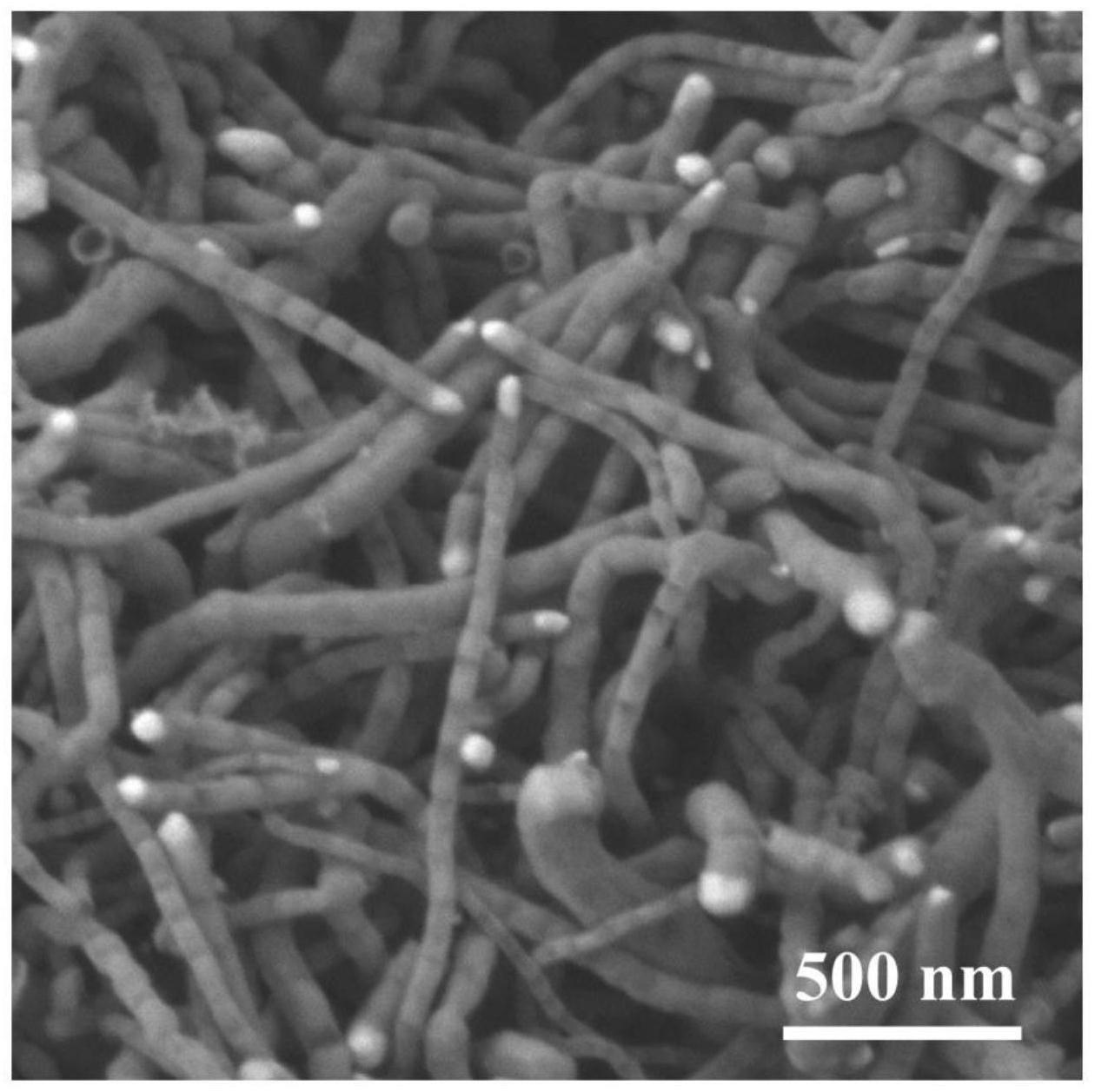 一种负载金属单原子和纳米颗粒竹节状氮掺杂碳纳米管的制备方法与流程