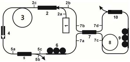 一种单模多模共生的耗散孤子共振脉冲全光纤锁模激光器及产生方法与流程