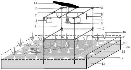一种可拆卸调节的稻田养鱼温室气体采集系统及方法与流程