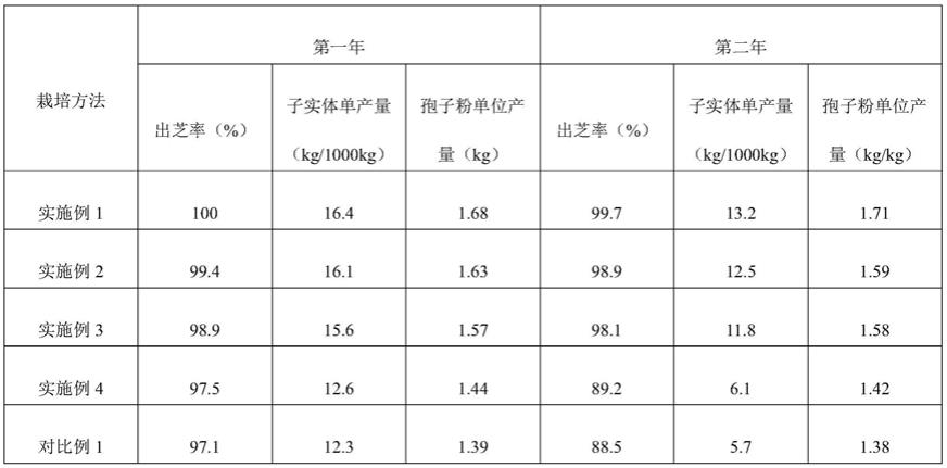 一种灵芝孢子粉产量高的灵芝的栽培方法