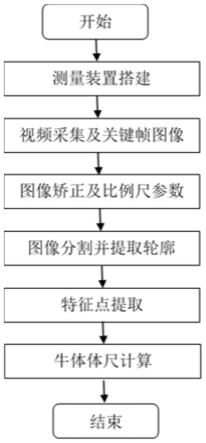 一种户外牛体体尺检测方法与装置