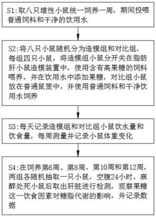 高果糖饮食脂肪肝小鼠模型的造模装置及脂肪肝小鼠模型的制作方法