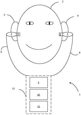 基于记录的听觉电生理学反应确定耳蜗积水的制作方法