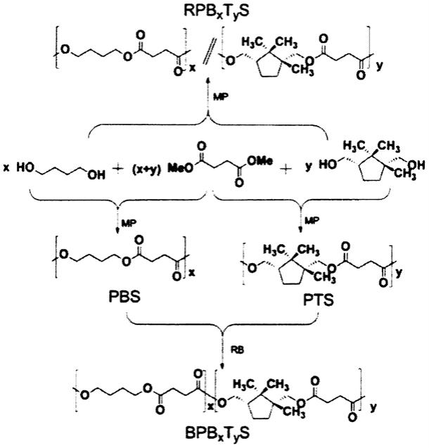一种用樟脑醇制备改性PBS共聚酯的方法与流程