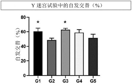 预防或治疗脑和神经系统疾病的组合物的制作方法