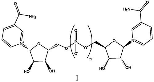 包括烟酰胺核苷的磷衍生物的组合物以及用于调节烟酰胺腺嘌呤二核苷酸的方法与流程