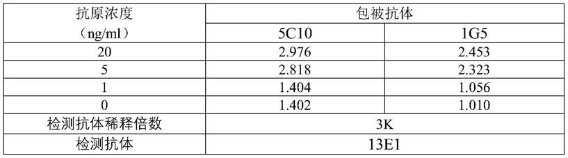 抗人羟基类固醇17-β脱氢酶13（HSD17B13）兔单克隆抗体及其应用的制作方法