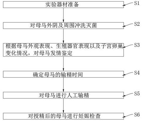 一种马的人工授精方法与流程