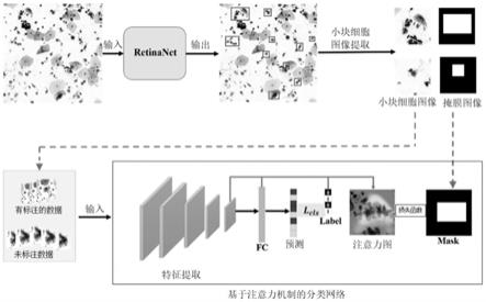 一种基于引入注意力机制的异常细胞检测方法与流程