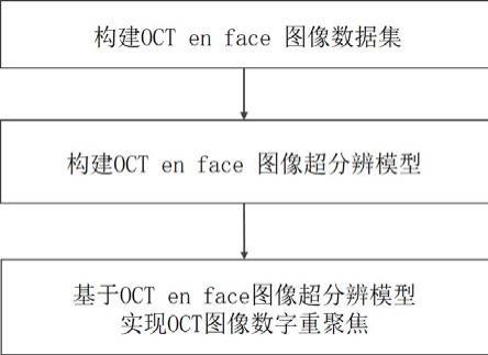 一种获得光学相干层析大焦深图像的处理方法