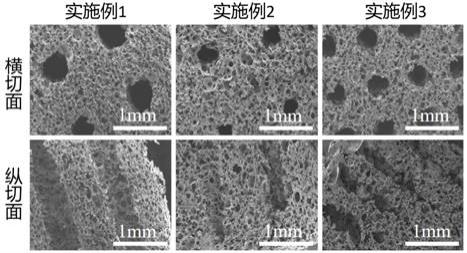 一种基于3D打印模板制备的具有有序多孔结构的聚乙烯醇海绵及应用