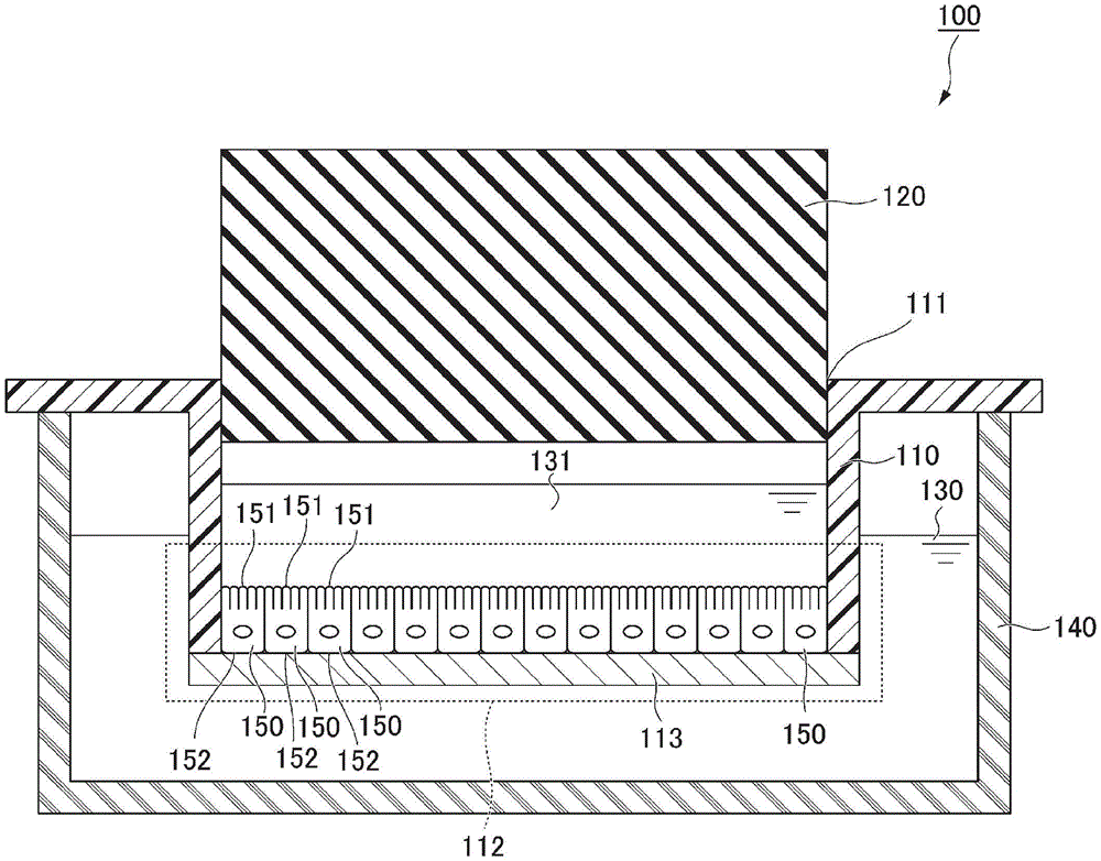 上皮细胞培养用培养容器及其使用的制作方法