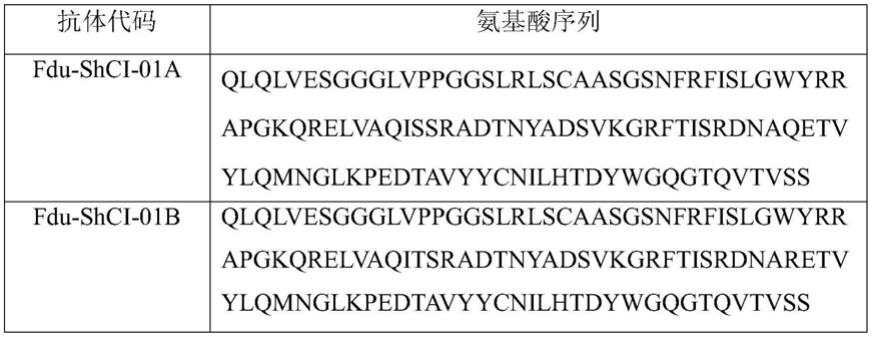 一种长效双功能蛋白及其制备方法和用途