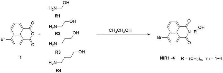 具有活性端的萘酰亚胺类化合物及其制备方法和应用