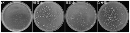 一种粪生链霉菌BWL-H1菌剂的制备方法和应用