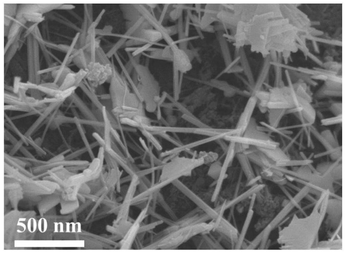 一种MnO2/氮掺杂活性炭复合材料及其制备方法和应用与流程