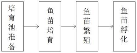 一种提高鱼苗孵化率的养殖方法与流程