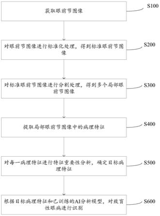 基于眼前节图像的眼病识别方法、装置、设备及存储介质