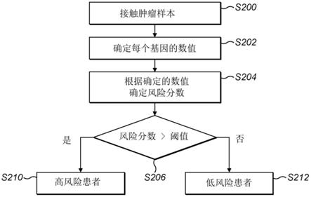 癌症患者生存率的预测方法