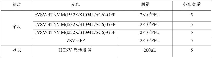 一种基于VSV载体的HTNV疫苗及其制备方法和应用