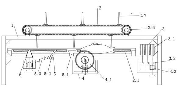一种基于链传动的推动式鱼类前处理自动装置