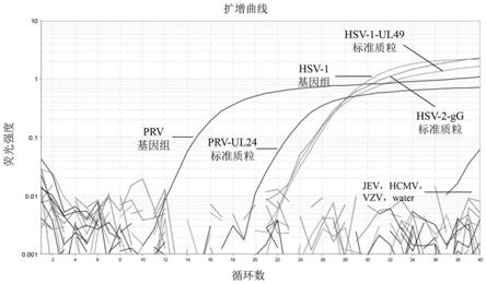 一种单纯疱疹病毒1型、2型和伪狂犬病毒三重荧光定量PCR检测组合物、方法及试剂盒与流程