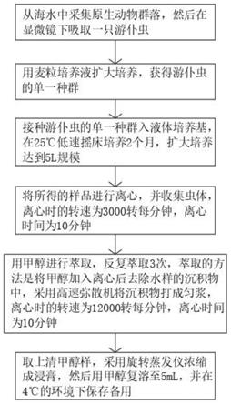 一种具有抗肿瘤活性的海洋原生动物游仆虫提取物浸膏的制作方法